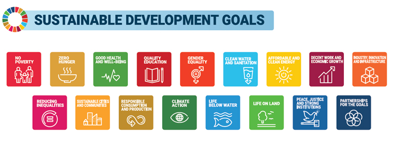 sustainable development goals